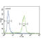 Beta-2-Microglobulin antibody, abx031697, Abbexa, Immunohistochemistry frozen image 