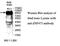 Zinc Finger Protein 473 antibody, MBS416678, MyBioSource, Western Blot image 