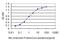 Nuclear VCP Like antibody, MA5-19498, Invitrogen Antibodies, Enzyme Linked Immunosorbent Assay image 