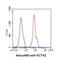 Actin Alpha 2, Smooth Muscle antibody, GTX57619, GeneTex, Flow Cytometry image 