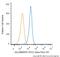 AXL Receptor Tyrosine Kinase antibody, NBP2-12044AF647, Novus Biologicals, Flow Cytometry image 