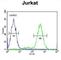 Inner Mitochondrial Membrane Peptidase Subunit 2 antibody, abx034608, Abbexa, Western Blot image 