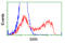 Serine Racemase antibody, LS-C114998, Lifespan Biosciences, Flow Cytometry image 