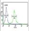 DLG Associated Protein 5 antibody, PA5-24612, Invitrogen Antibodies, Flow Cytometry image 