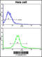 ES Cell Expressed Ras antibody, 57-927, ProSci, Flow Cytometry image 