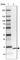 Parvalbumin antibody, HPA048536, Atlas Antibodies, Western Blot image 