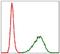 Tubulin Alpha 8 antibody, NBP2-37535, Novus Biologicals, Flow Cytometry image 