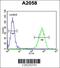 ER Membrane Associated RNA Degradation antibody, 55-576, ProSci, Flow Cytometry image 