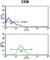 Heat Shock Protein Family A (Hsp70) Member 6 antibody, abx034073, Abbexa, Western Blot image 