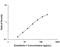 Endothelin 1 antibody, MAB3440, R&D Systems, Enzyme Linked Immunosorbent Assay image 