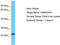 RAB3 GTPase Activating Non-Catalytic Protein Subunit 2 antibody, TA331994, Origene, Western Blot image 