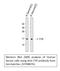 Transthyretin antibody, STJ98876, St John