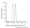 Keratin 20 antibody, NBP2-42616AF488, Novus Biologicals, Flow Cytometry image 