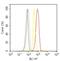 Cadherin 1 antibody, MA5-14458, Invitrogen Antibodies, Flow Cytometry image 