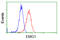 EMG1 N1-Specific Pseudouridine Methyltransferase antibody, LS-C115237, Lifespan Biosciences, Flow Cytometry image 