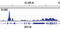 RNA Polymerase II Subunit A antibody, 14958S, Cell Signaling Technology, Chromatin Immunoprecipitation image 