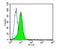 CD58 Molecule antibody, NBP2-22542, Novus Biologicals, Flow Cytometry image 