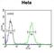 Polypeptide N-Acetylgalactosaminyltransferase 4 antibody, abx025629, Abbexa, Flow Cytometry image 