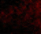 TNF Receptor Superfamily Member 14 antibody, 3775, ProSci, Immunofluorescence image 
