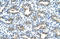 MutS Homolog 4 antibody, orb330175, Biorbyt, Immunohistochemistry paraffin image 