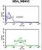 Gonadotropin Releasing Hormone 2 antibody, LS-C166572, Lifespan Biosciences, Flow Cytometry image 