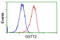 Glutathione S-Transferase Theta 2 (Gene/Pseudogene) antibody, LS-C115714, Lifespan Biosciences, Flow Cytometry image 