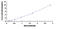 Cathepsin B antibody, MBS2019550, MyBioSource, Enzyme Linked Immunosorbent Assay image 