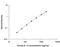 Interleukin 2 antibody, D2050, R&D Systems, Enzyme Linked Immunosorbent Assay image 