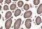 TANK Binding Kinase 1 antibody, A00261-1, Boster Biological Technology, Immunohistochemistry paraffin image 