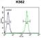Corticotropin Releasing Hormone Receptor 2 antibody, abx026264, Abbexa, Flow Cytometry image 