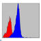 CRK Like Proto-Oncogene, Adaptor Protein antibody, LS-C814016, Lifespan Biosciences, Flow Cytometry image 