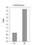 RB Binding Protein 4, Chromatin Remodeling Factor antibody, NB500-123, Novus Biologicals, Chromatin Immunoprecipitation image 