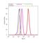 Coatomer Protein Complex Subunit Beta 1 antibody, PA1-068, Invitrogen Antibodies, Flow Cytometry image 