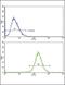 CTD Small Phosphatase 2 antibody, PA5-35350, Invitrogen Antibodies, Flow Cytometry image 