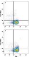 T-Box 21 antibody, MAB53851, R&D Systems, Flow Cytometry image 