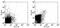 Toll Like Receptor 2 antibody, 12-9022-80, Invitrogen Antibodies, Flow Cytometry image 