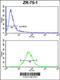 E2F Transcription Factor 5 antibody, 63-739, ProSci, Flow Cytometry image 