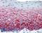 Syndecan 1 antibody, LS-C44878, Lifespan Biosciences, Immunohistochemistry paraffin image 