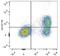 Interleukin 7 Receptor antibody, LS-C811274, Lifespan Biosciences, Flow Cytometry image 