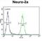 Lipocalin 10 antibody, abx025791, Abbexa, Western Blot image 