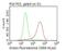 Cancer/Testis Antigen 1B antibody, NBP1-47714, Novus Biologicals, Flow Cytometry image 