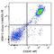 Purinergic Receptor P2Y12 antibody, 848004, BioLegend, Flow Cytometry image 