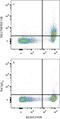 TNF Receptor Superfamily Member 13B antibody, FAB1041A, R&D Systems, Flow Cytometry image 