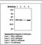 Mitogen-Activated Protein Kinase 8 antibody, LS-C62212, Lifespan Biosciences, Western Blot image 