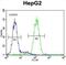 Coiled-Coil Domain Containing 17 antibody, abx026050, Abbexa, Western Blot image 