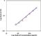 Interleukin 19 antibody, 14-7191-85, Invitrogen Antibodies, Enzyme Linked Immunosorbent Assay image 