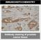 Cytochrome P450 Family 3 Subfamily A Member 4 antibody, NBP2-50208, Novus Biologicals, Immunohistochemistry paraffin image 