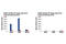 Nuclear Factor, Erythroid 2 Like 2 antibody, 12721P, Cell Signaling Technology, Chromatin Immunoprecipitation image 