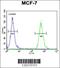 Alpha Tocopherol Transfer Protein Like antibody, 61-815, ProSci, Flow Cytometry image 