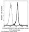 Signal Regulatory Protein Alpha antibody, 11612-MM03, Sino Biological, Flow Cytometry image 